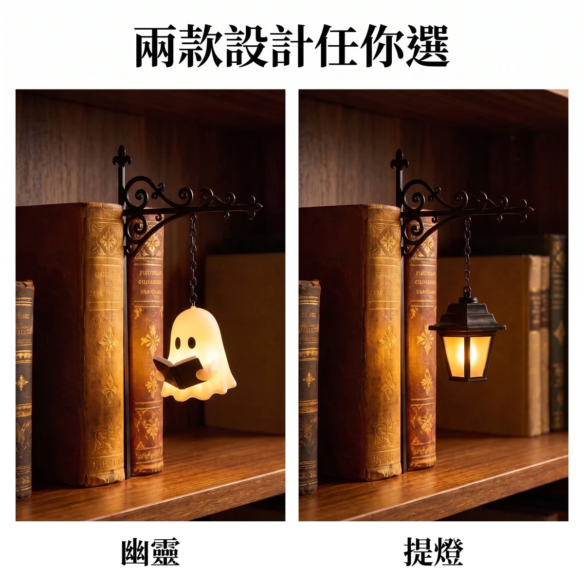 LACIAGA 書架造景夜燈