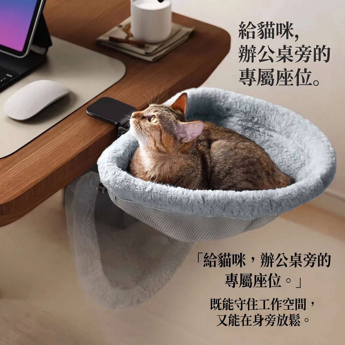 LACIAGA 辦公桌夾式貓床