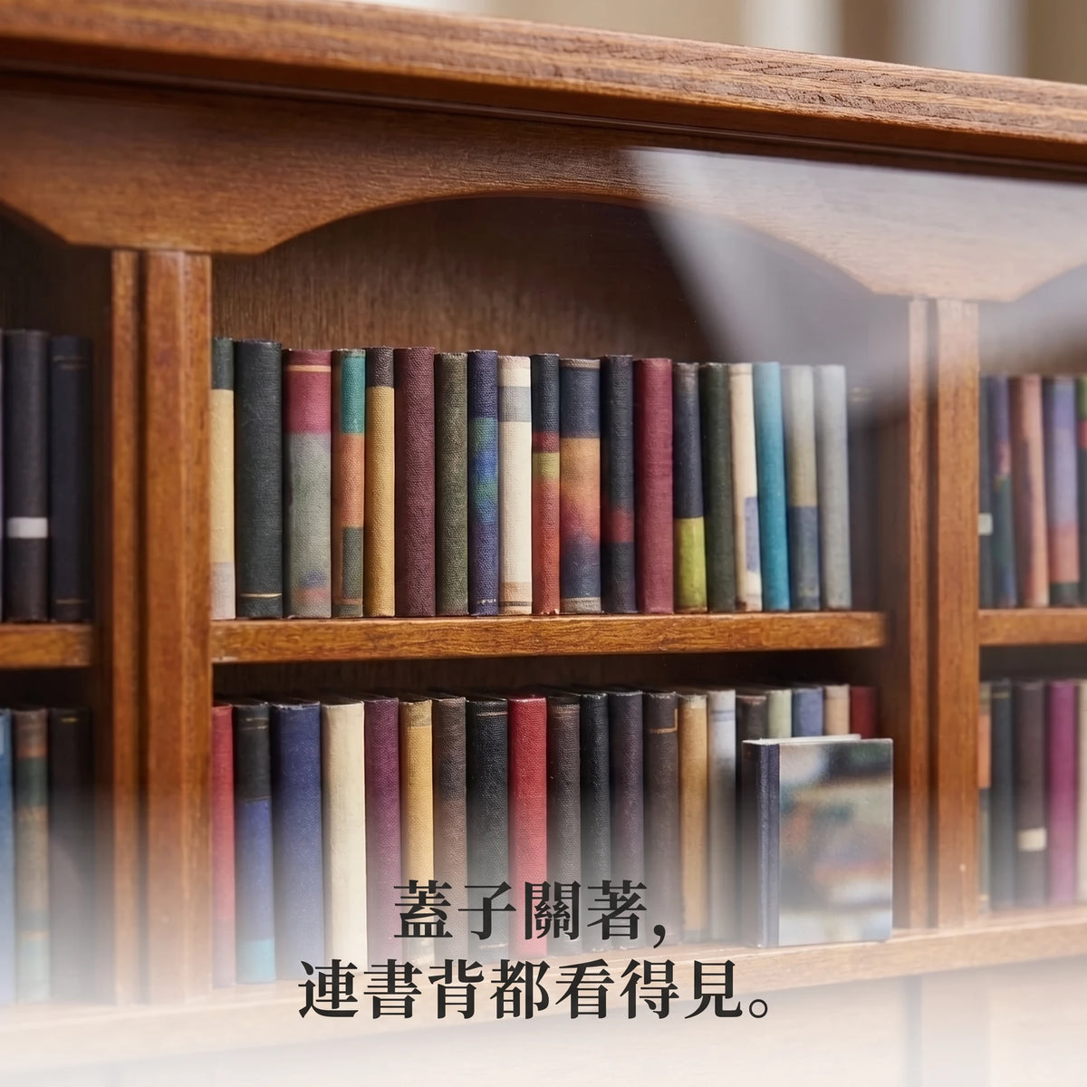 LACIAGA 迷你書櫃擺飾