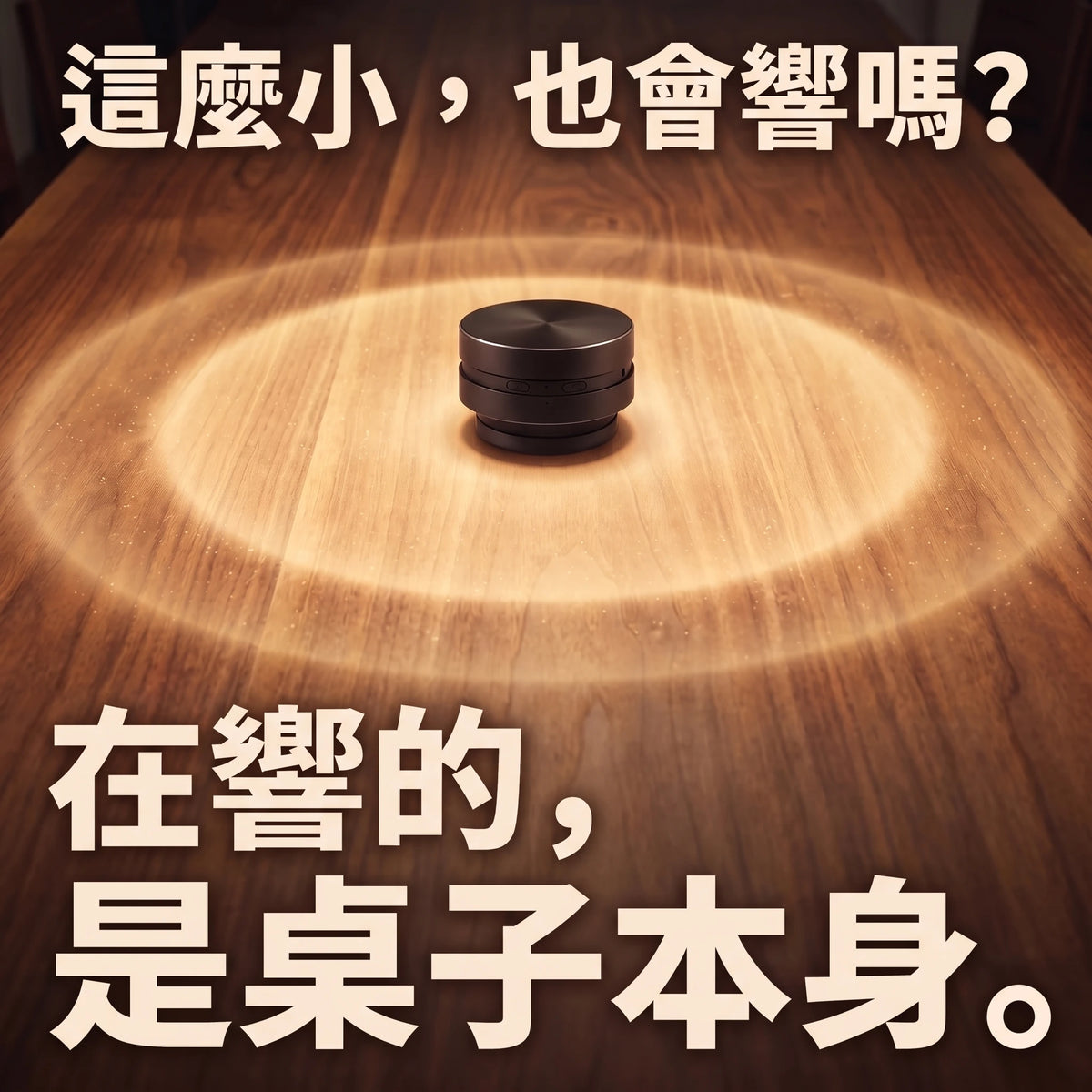 LACIAGA 振動喇叭